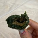 남도모시송편 | 영광 법성포 맛집 줄 서서 먹는 굴비정식 맛집, 강화식당 방문 후기 (보리굴비정식/굴비정식 추천)