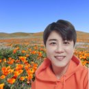 (주)디시에너지 이미지