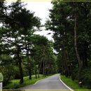 물향기공원 이미지