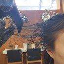 [봉선동 미용실] 신데렐라 클리닉으로 찰랑찰랑 살롱드84