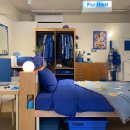 맹그로브 동대문 이미지