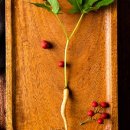 장성농장 이미지