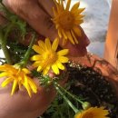 그린게스트하우스 이미지