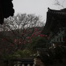 만영사