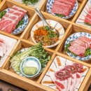카메참치 이미지