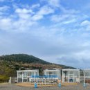 see more sea A | 포항 오도리 펜션 씨모어씨풀빌라 A1실내풀 후기