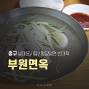 부원사 | 남대문시장 맛집 부원면옥 후기 깔끔한 평양냉면과 바삭한 빈대떡 조합
