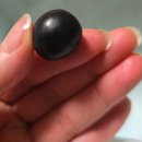 본리치 | [공지] 요즘 핫한 블랙 리치 포도 먹어본 솔직 후기. 달달함의 끝판왕