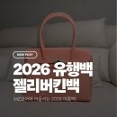 아시나요 | 일상 - MZ코어 요즘 핫한 젤리 버킨백을 아시나요? 최화정 젤리 버킨백 구매 후기