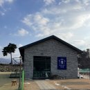 봄이야 놀자 이미지