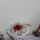 김해꽃식물원 이미지