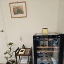 윤펜션 | [양양 감성 숙소 추천] : 아이랑 가족 여행에 딱인 독채 펜션 '남애, 영희와 윤아저씨" 후기