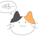찰떡직구