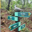 서천남산성 이미지