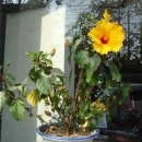 우리이용소 이미지