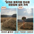 [도로]푸른지대 삼거리 | 삼거리 볼록거울 반사경 전문업체 설치 가격