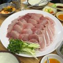 금자네수산 | 부천 역곡 횟집, 5년 단골이 쓰는 대방어 맛집 '금자네수산' 후기