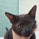 한국선진학교 이미지