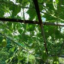 달아민박 이미지