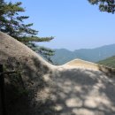 (주)삼아벤처 이미지