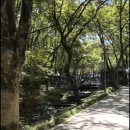 서울대공원 캠핑장 이미지