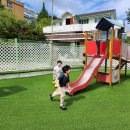 2025.09.04(수) 과학, 영어외 이미지