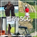 퍼블릭헤어 | 신상골프장 벨라45CC 퍼블릭 코스 후기