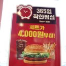 뉴들365 이미지