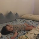 5개월 아기 엄마 일상 이유식 마켓컬리 시작 카페쿠스 두피클리닉