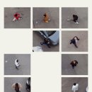 베이지 꽃 이미지