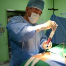 서울나은병원 이미지