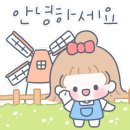 나우로데오 이미지