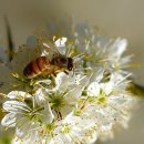 한빛타운 이미지