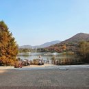 남동79 | [남동구]단풍 구경, 인천대공원 후기