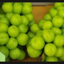 이규호농장 이미지