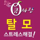 큐사랑울산지사 - 울주군 석남로 859 | 큐사랑울산지사