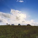 너른초원 이미지