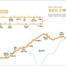 대미마을회관 이미지