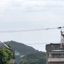 욕지초등학교 이미지