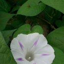 밀키웨이 이미지