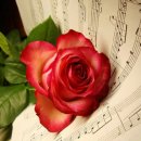 기쁨피아노 이미지