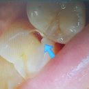 용현연세의원 이미지