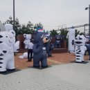 근화동 206 이미지