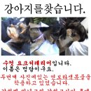 [대전]만년교-갑천교사이홈에버쪽갑천둔지 / 수컷요키찾습니다 이미지