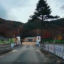 지례초등학교 이미지