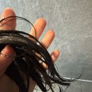팩 추천 두피와 탈모 한 번에 케어하는 탈모완화 헤어팩 CELGEN 셀젠 헤어엔헤어 퍼펙트팩 사용해본 후기