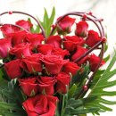 신월1리 이미지