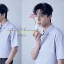 박서준 카카오 검색결과