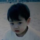 불철주야 이미지