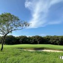 블랙스톤골프장(회원제) 이미지